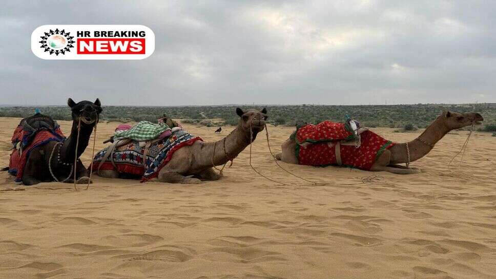 Rajasthan Weather : राजस्थान में मौसम ने मारी पलटी, IMD ने जारी किया बड़ा अपडेट