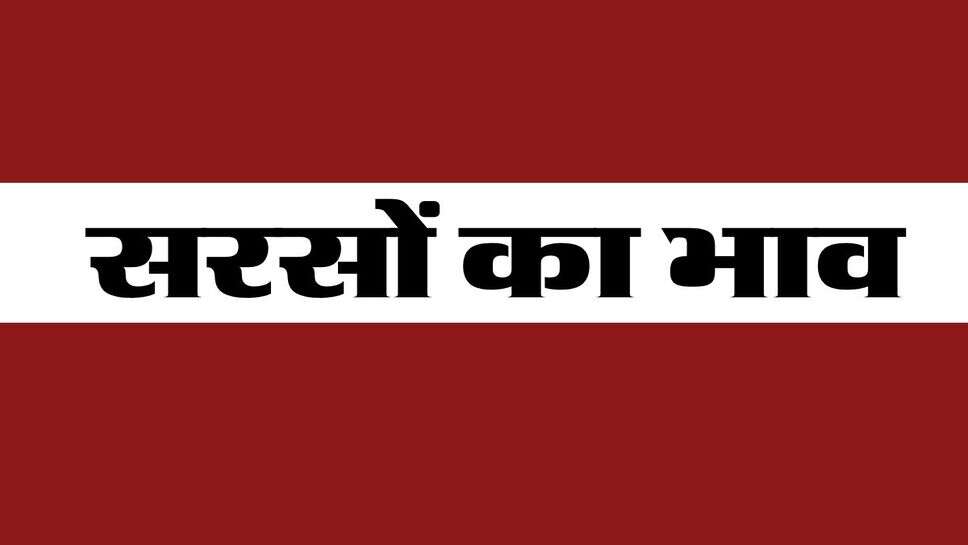 Sarso Bhav October 2026 : सरसों की कीमत में आया ठहराव, मुरैना, अलवर, कोटा में 9 हजार से ऊपर