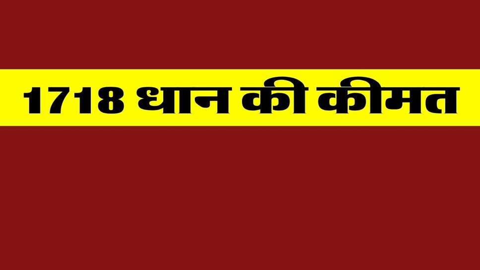 1718 Dhan Price : 1718 धान की कीमत में 100 रुपये की तेजी, जानें सभी मंडियों की ताजा कीमत अक्टूबर की कीमत