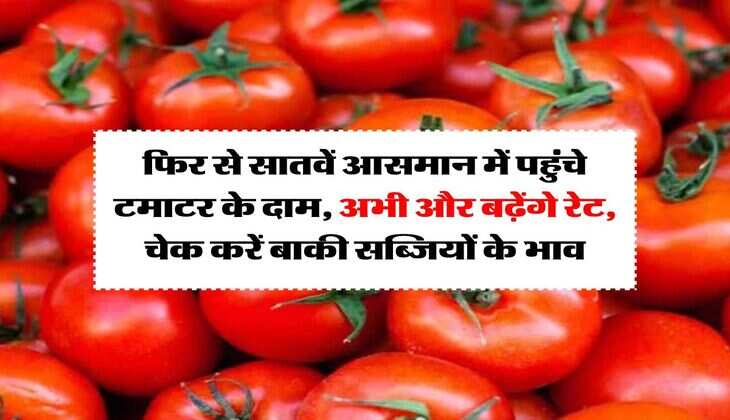 Tomato Price Hike : फिर से सातवें आसमान में पहुंचे टमाटर के दाम, अभी और बढ़ेंगे रेट, चेक करें बाकी सब्जियों के भाव