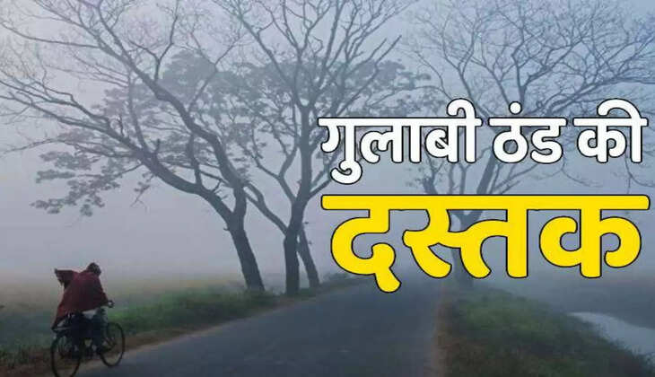 IMD weather alert: इन 14 राज्यों में मौसम लेगा करवट, सुबह कोहरा तो शाम तो नजर आएगी गलन