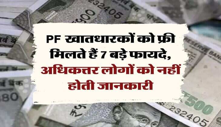 PF खातधारकों को फ्री मिलते हैं 7 बड़े फायदे, अधिकत्तर लोगों को नहीं होती जानकारी