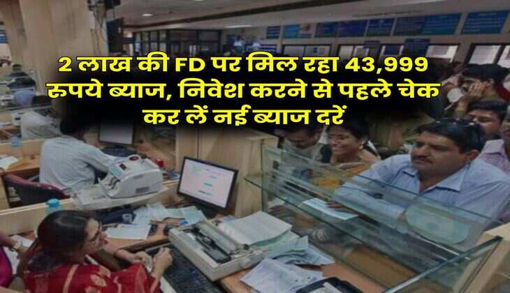 2 लाख की FD पर मिल रहा 43,999 रुपये ब्याज, निवेश करने से पहले चेक कर लें नई ब्याज दरें