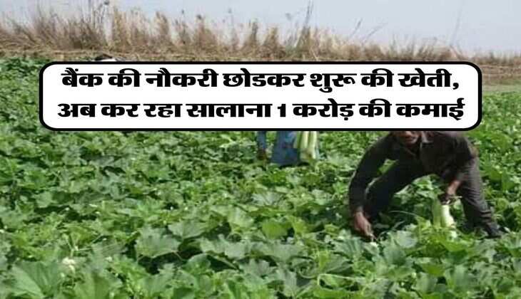 Success Story: बैंक की नौकरी छोडकर शुरू की खेती, अब कर रहा सालाना 1 करोड़ की कमाई