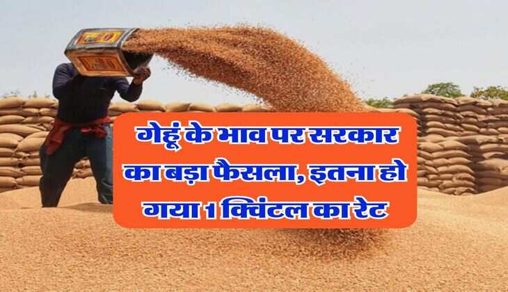 Wheat Price Today : गेहूं के भाव पर सरकार का बड़ा फैसला, इतना हो गया 1 क्विंटल का रेट