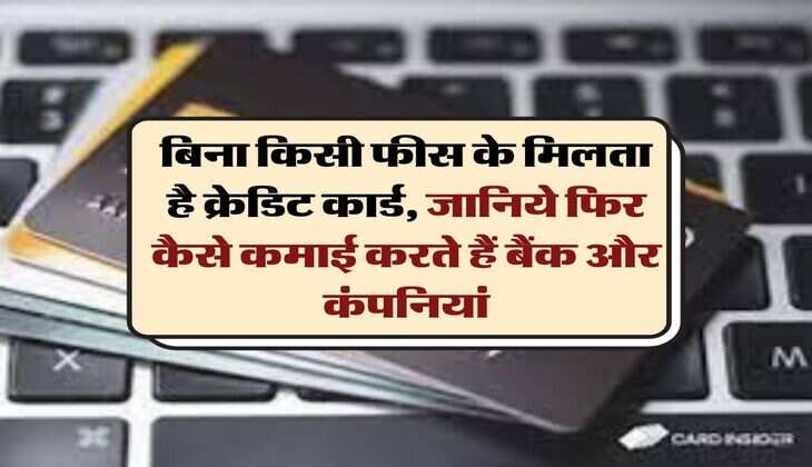 Credit Card : बिना किसी फीस के मिलता है क्रेडिट कार्ड, जानिये फिर कैसे कमाई करते हैं बैंक और कंपनियां