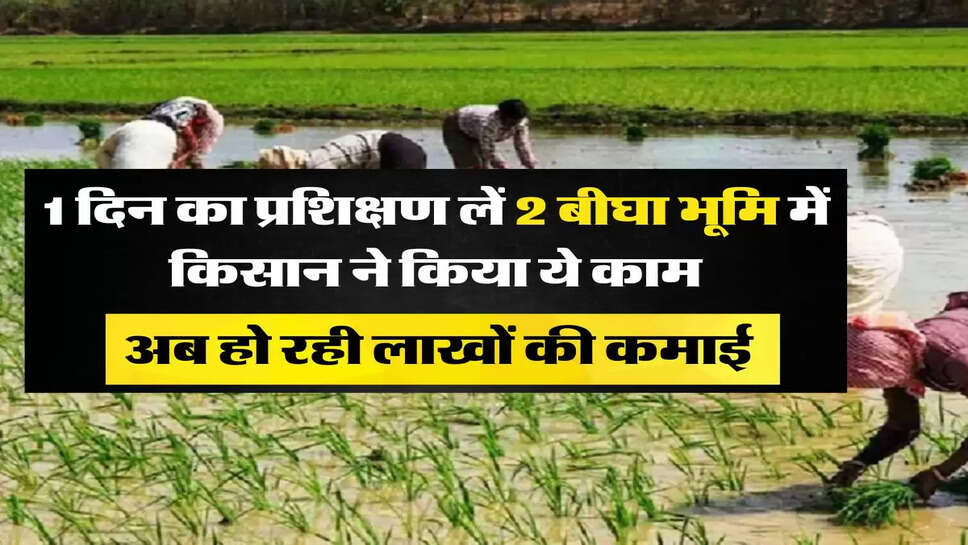 1 दिन का प्रशिक्षण लें 2 बीघा भूमि में किसान ने किया ये काम, अब हो रही लाखों की कमाई &nbsp;&nbsp;