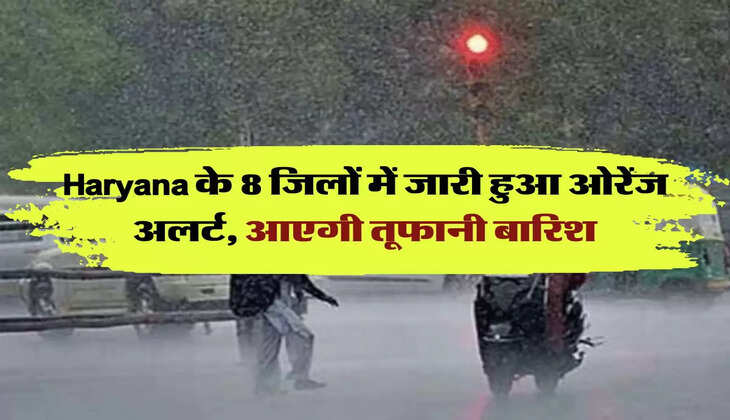 Haryana के 8 जिलों में जारी हुआ ओरेंज अलर्ट, आएगी तूफानी बारिश