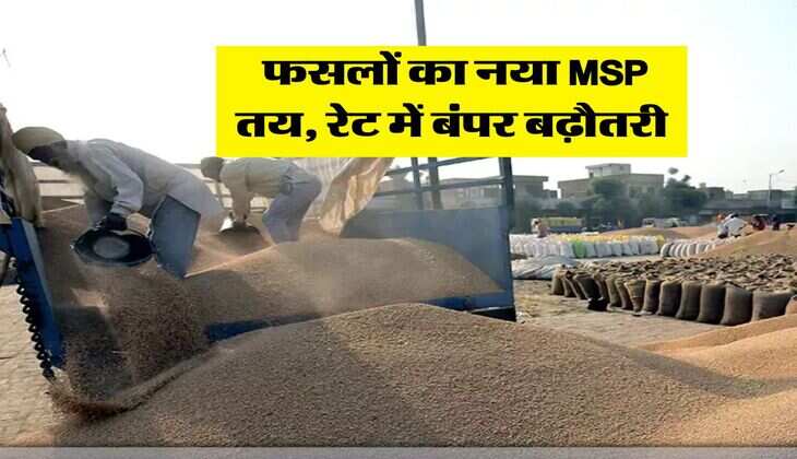 Mandi Bhav : फसलों का नया MSP तय, रेट में बंपर बढ़ौतरी