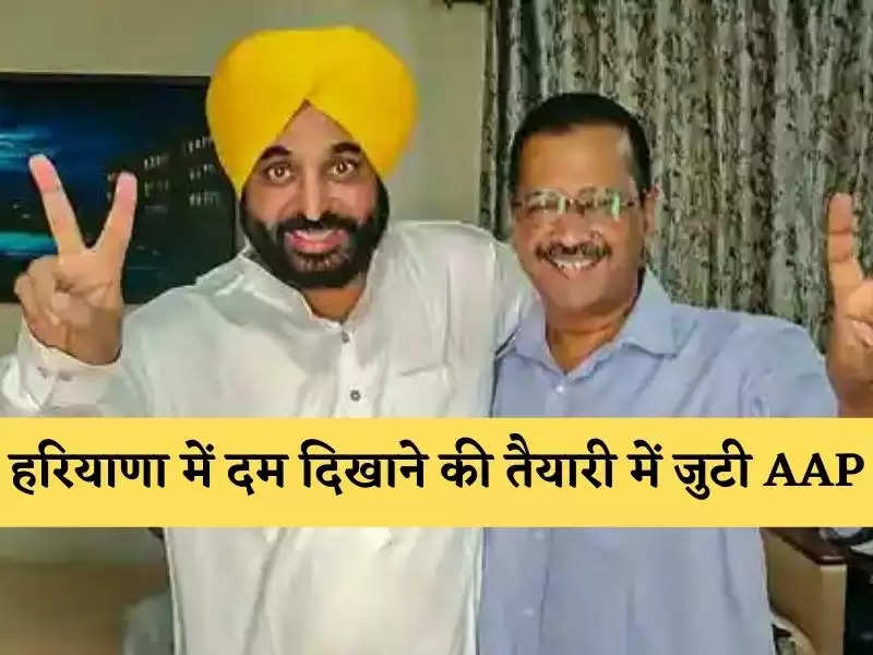 अब हरियाणा में दम दिखाने की तैयारी में जुटी AAP