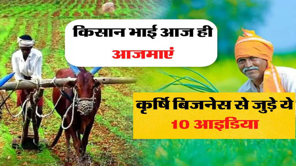 Business ideas: किसान भाई आज ही आजमाएं कृर्षि बिजनेस से जुड़े ये 10 आइडिया, कम समय में मिलेगा ज्यादा मुनाफा&nbsp;