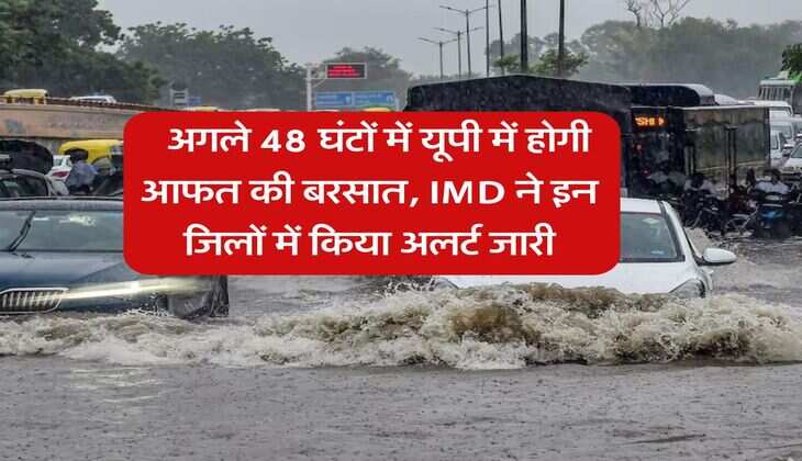  UP Weather : अगले 48 घंटों में यूपी में होगी आफत की बरसात, IMD ने इन जिलों में किया अलर्ट जारी