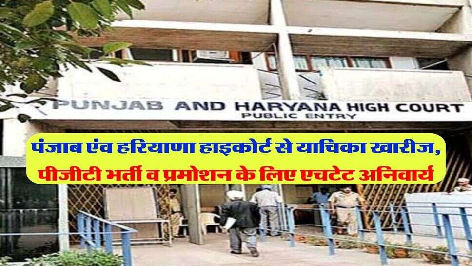पंजाब एंव हरियाणा हाइकोर्ट से याचिका खारीज, पीजीटी भर्ती व प्रमोशन के लिए एचटेट अनिवार्य