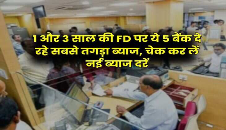 1 और 3 साल की FD पर ये 5 बैंक दे रहे सबसे तगड़ा ब्याज, चेक कर लें नई ब्याज दरें