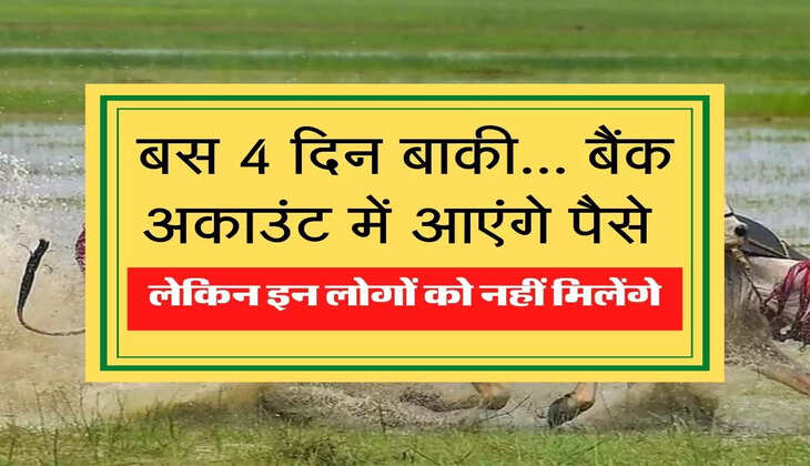 PM Kisan Yojana: पीएम किसान योजना की अगली किस्त इस दिन पहुंचेगी अकांउट में, चैक करें लेटेस्ट अपडेट