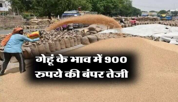 wheat flour price : गेहूं के भाव में 900 रुपये की बंपर तेजी, 16 साल के रिकॉर्ड स्तर पर आटा का भाव