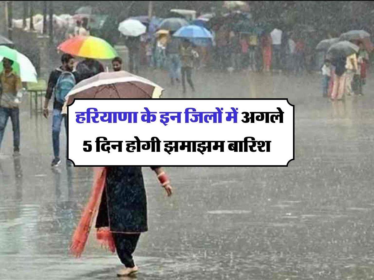 Haryana Weather : हरियाणा के इन जिलों में अगले 5 दिन होगी झमाझम बारिश