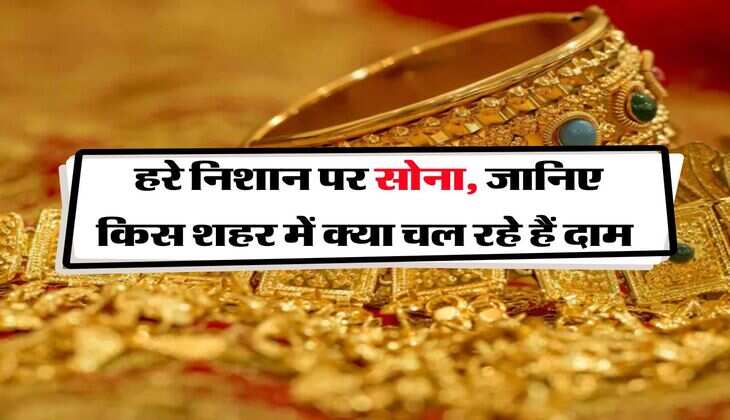 Gold Rate : हरे निशान पर सोना, जानिए किस शहर में क्या चल रहे हैं दाम