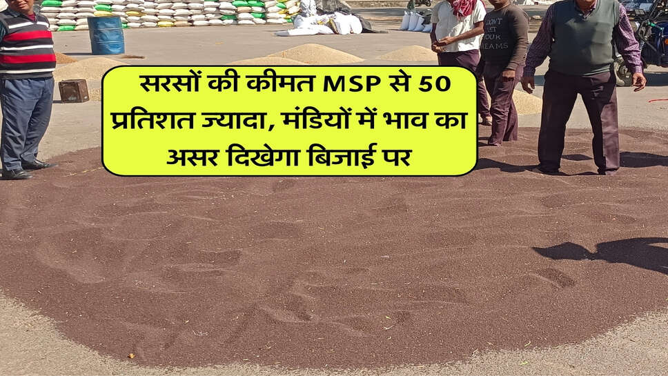 Sarso Bhav 18 october : सरसों की कीमत MSP से 50 प्रतिशत ज्यादा, मंडियों में भाव का असर दिखेगा बिजाई पर