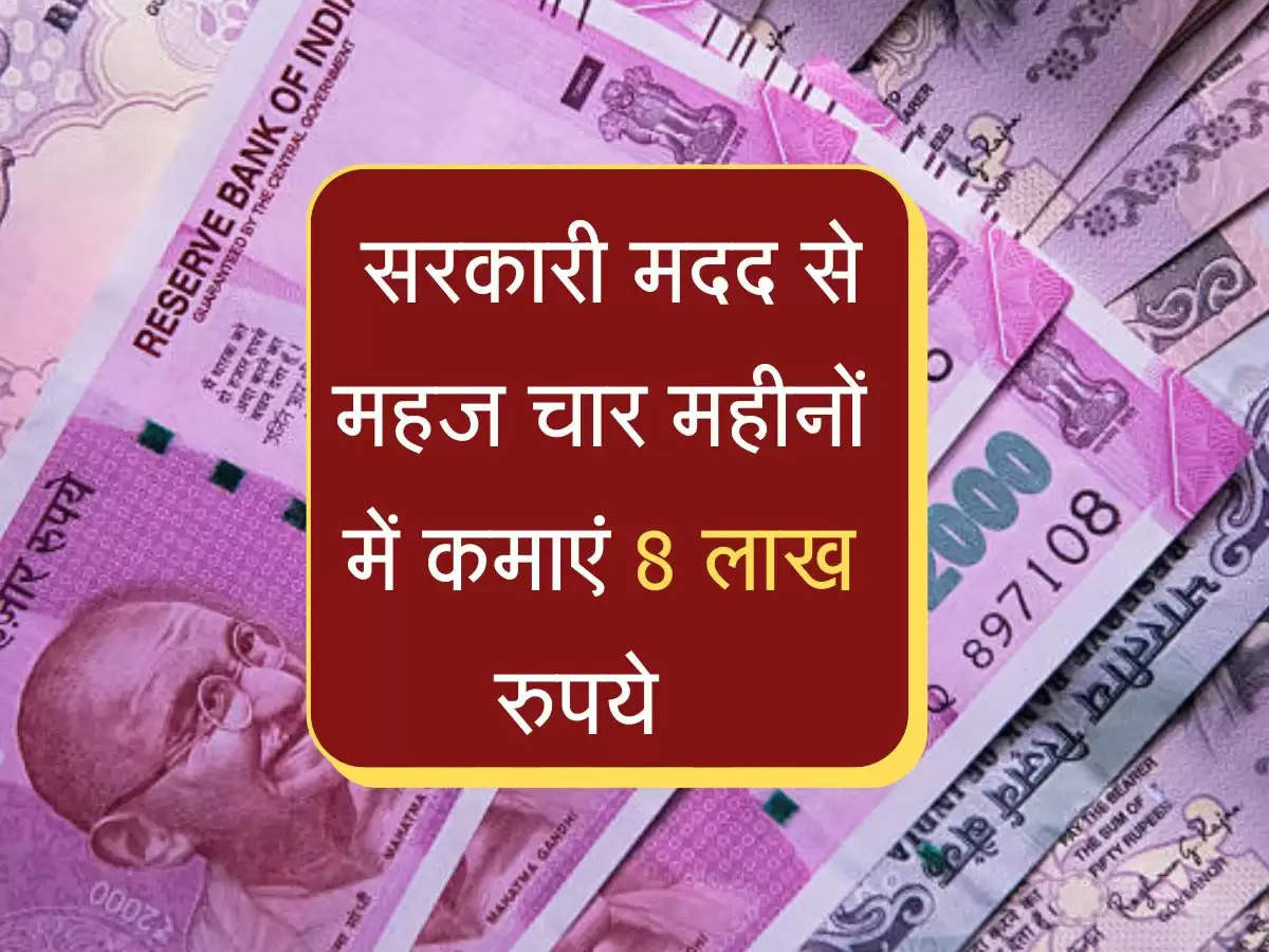 कमाल का बिजनेस, सरकारी मदद से महज चार महीनों में कमाएं 8 लाख रुपये  