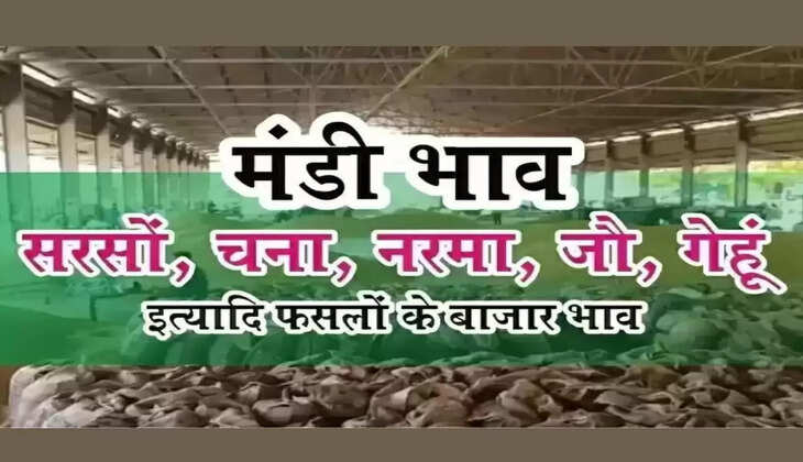 मंडी भाव 8 मई 2022: आज सरसों चना गेहूं जौ नरमा ग्वार का ताजा मंडी भाव