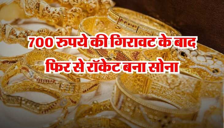 Gold Price Today : 700 रुपये की गिरावट के बाद फिर से रॉकेट बना सोना, चेक कर लें लेटेस्ट प्राइस