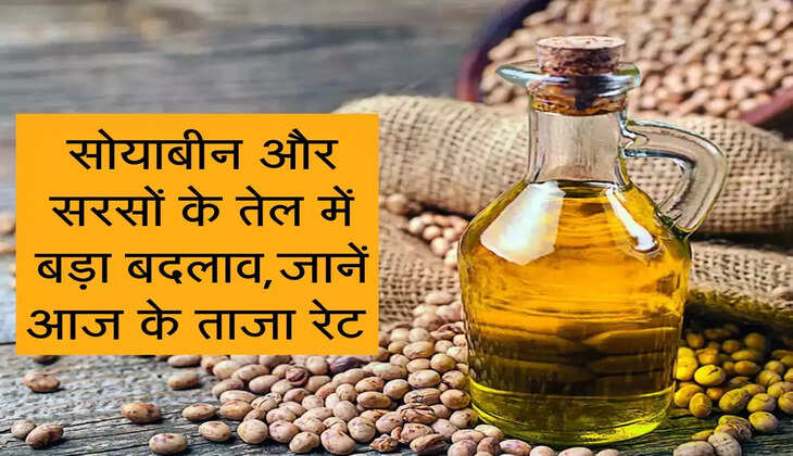 Edible Oil : सोयाबीन और सरसों के तेल में बड़ा बदलाव,जानें आज के ताजा रेट&nbsp;