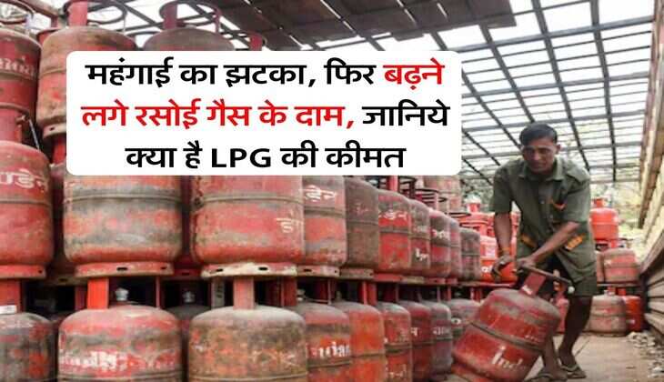 Gas Price Today&nbsp;: महंगाई का झटका, फिर बढ़ने लगे रसोई गैस के दाम, जानिये क्या है LPG की कीमत