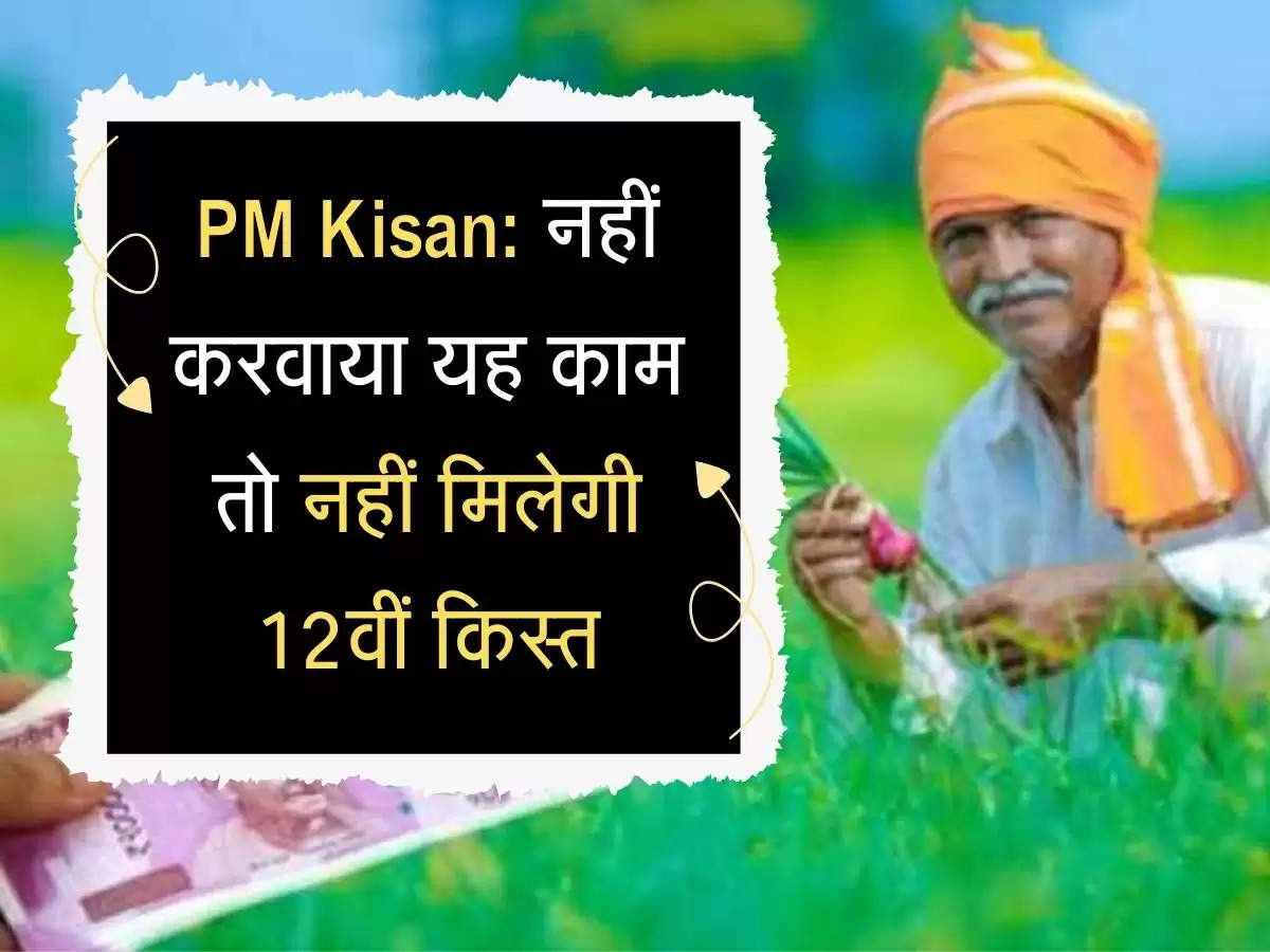 PM Kisan: नहीं करवाया यह काम तो नहीं मिलेगी 12वीं किस्त