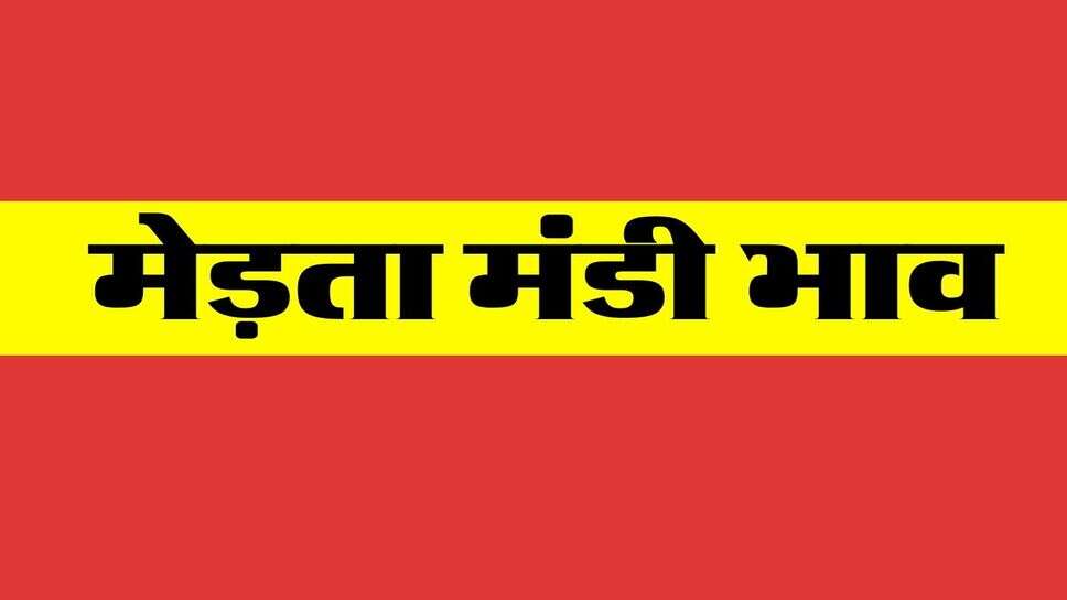 मेड़ता मंडी भाव 26 अक्टूबर 2026:&nbsp; प्रमुख जिंसों का कारोबार स्थिर, जानें मूंग, चना, जीर, सौंफ का बाजार