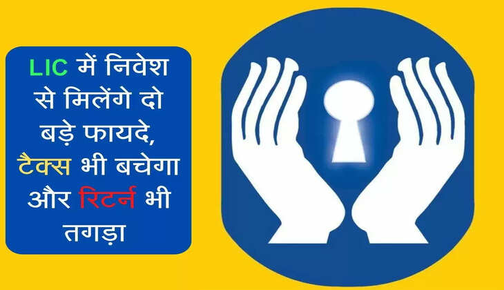 LIC में नवेश से मिलेंगे दो बड़े फायदे, टैक्स भी बचेगा और रिटर्न भी तगड़ा 