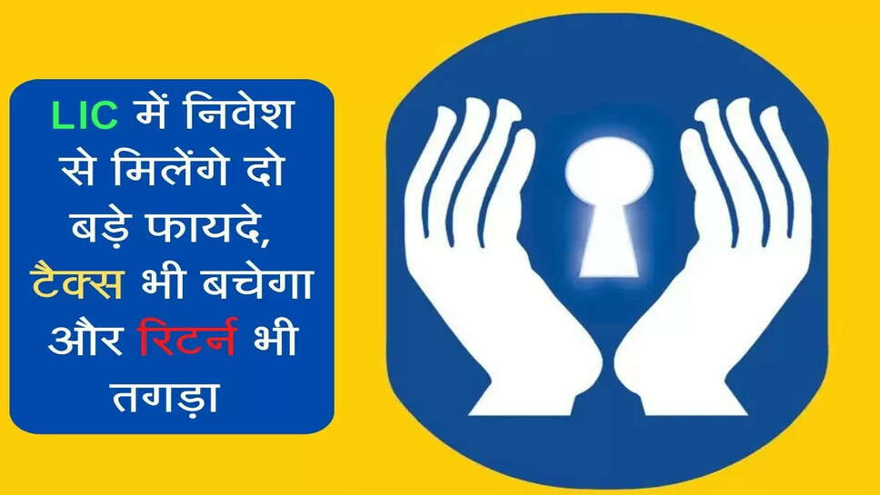 LIC में नवेश से मिलेंगे दो बड़े फायदे, टैक्स भी बचेगा और रिटर्न भी तगड़ा&nbsp;