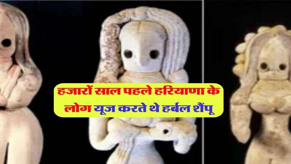 हजारों साल पहले हरियाणा के लोग यूज करते थे हर्बल शैंपू