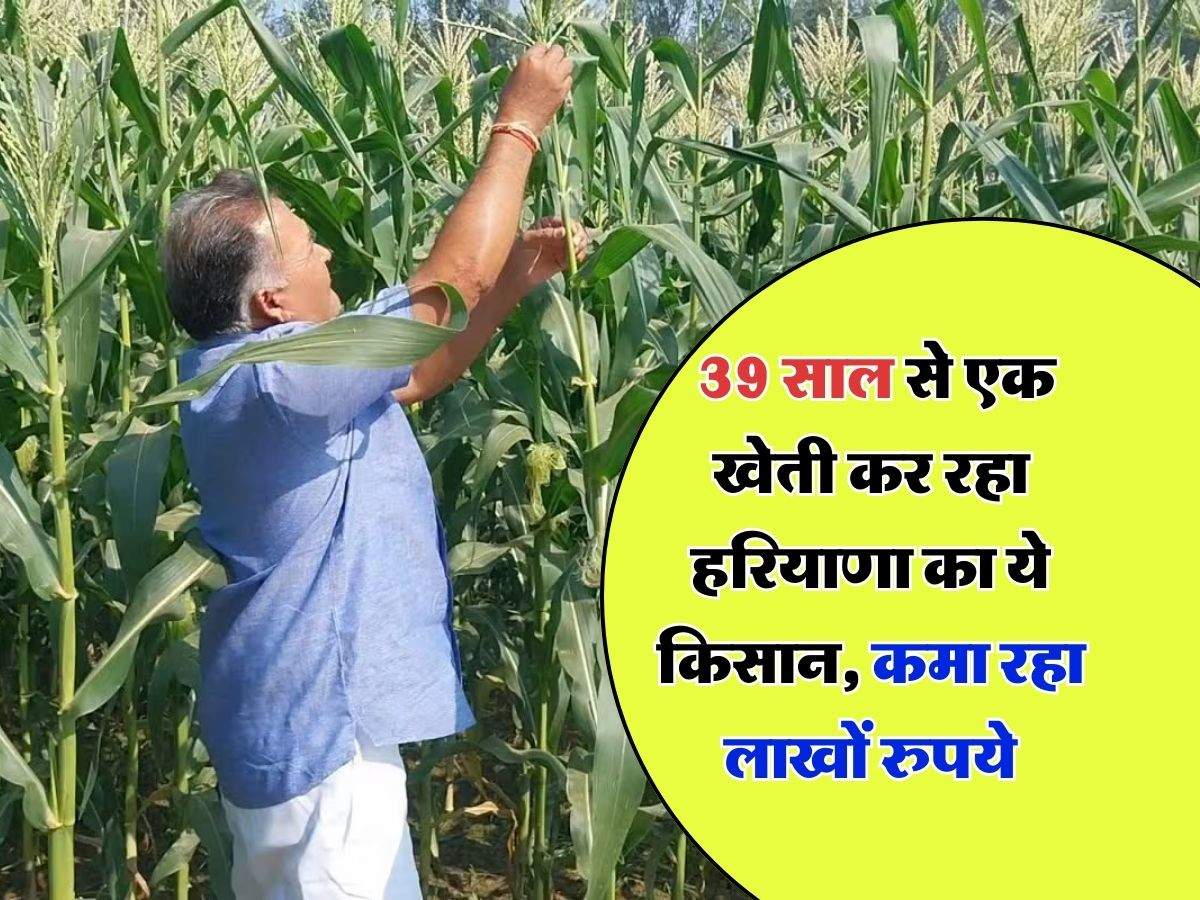 Success Story : 39 साल से एक खेती कर रहा हरियाणा का ये किसान, कमा रहा लाखों रुपये