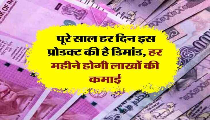 Business Idea: पूरे साल हर दिन इस प्रोडक्ट की है डिमांड, हर महीने होगी लाखों की कमाई