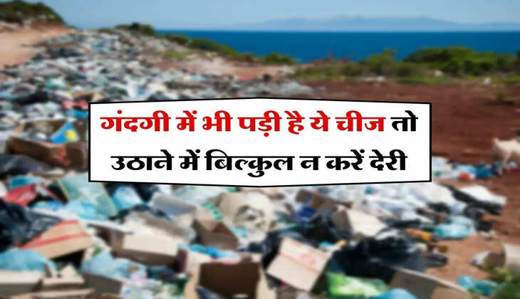 Chanakya Niti : गंदगी में भी पड़ी है ये चीज तो उठाने में बिल्कुल न करें देरी, मिनटों में बना देगी धनवान