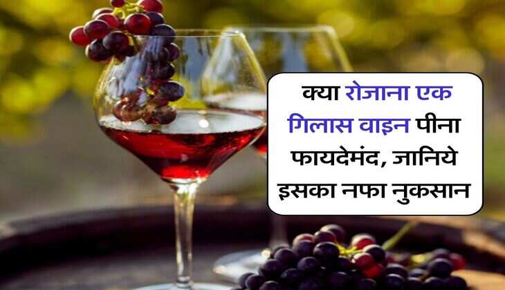 Wine : क्या रोजाना एक गिलास वाइन पीना फायदेमंद, जानिये इसका नफा नुकसान