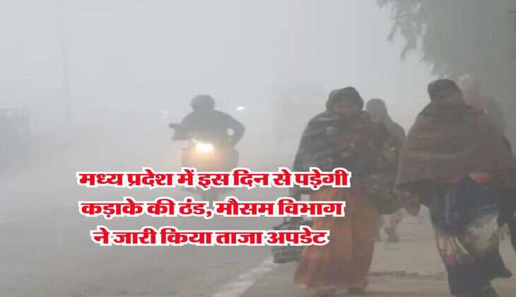 MP Weather : मध्य प्रदेश में इस दिन से पड़ेगी कड़ाके की ठंड, मौसम विभाग ने जारी किया ताजा अपडेट 