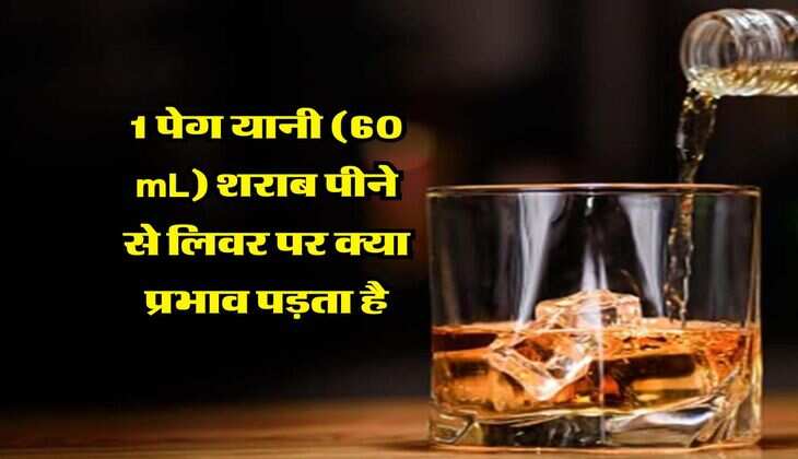 Liquor : 1 पेग यानी (60 mL) शराब पीने से लिवर पर क्या प्रभाव पड़ता है, जानें एक्सपर्ट की राय&nbsp;