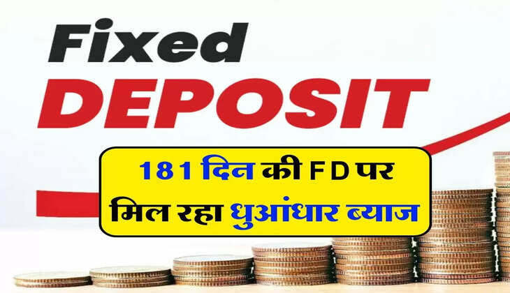 181 दिन की FD पर मिल रहा धुआंधार ब्याज, लोग कर रहे धड़ाधड़ निवेश