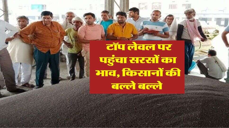 Sarso Mandi Bhav&nbsp;: टॉप लेवल पर पहुंचा&nbsp;सरसों का भाव, किसानों की बल्ले बल्ले&nbsp;