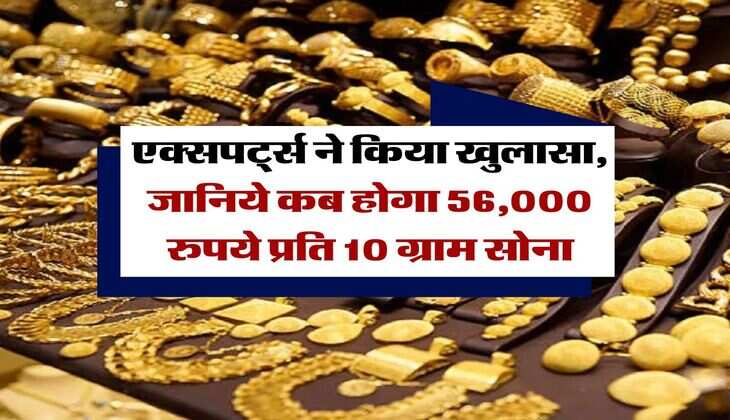 Gold Rate : एक्सपर्ट्स ने किया खुलासा, जानिये कब होगा 56,000 रुपये प्रति 10 ग्राम सोना