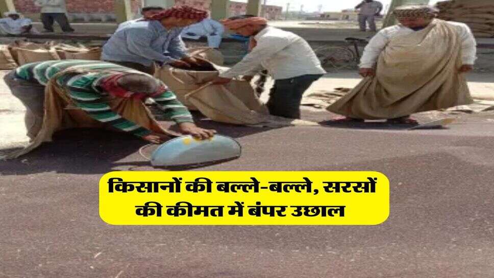 Sarso ka Rate : किसानों की बल्ले-बल्ले, सरसों की कीमत में बंपर उछाल