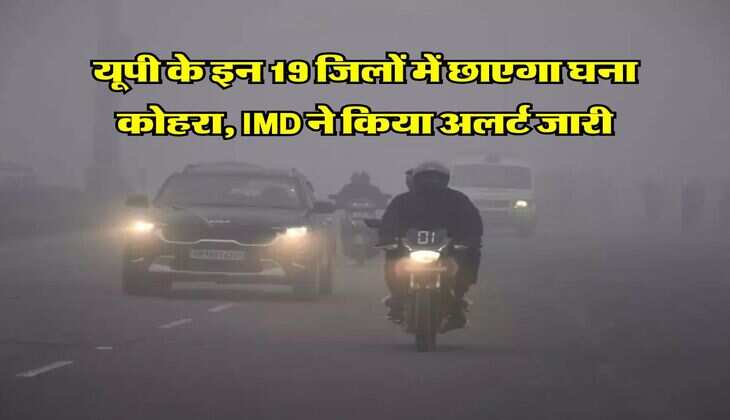 UP Weather : यूपी के इन 19 जिलों में छाएगा घना कोहरा, IMD ने किया अलर्ट जारी