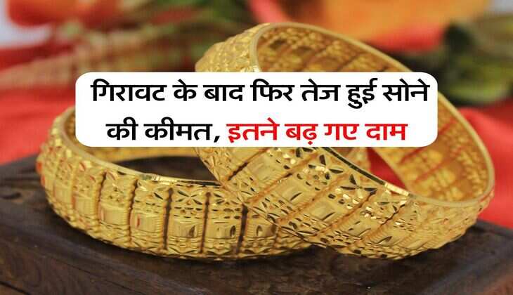 Gold Price : गिरावट के बाद फिर तेज हुई सोने की कीमत, इतने बढ़ गए दाम
