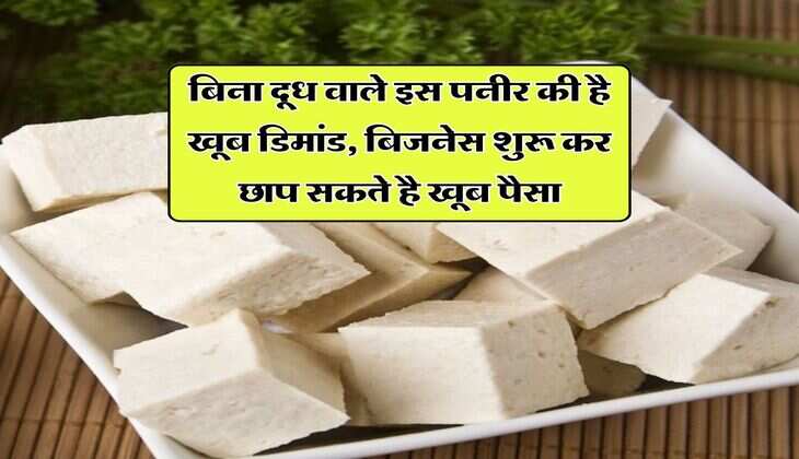 Business Idea : बिना दूध वाले इस पनीर की है खूब डिमांड, बिजनेस शुरू कर छाप सकते है खूब पैसा