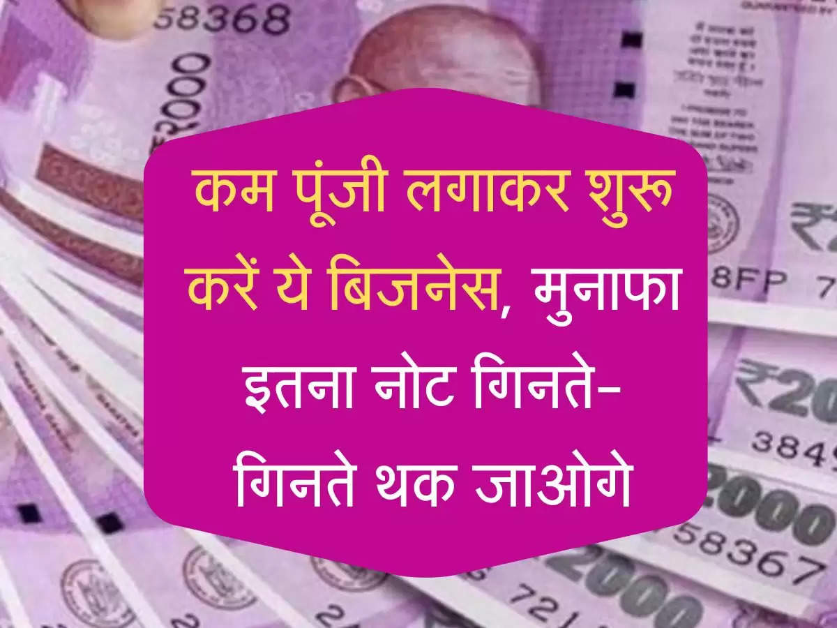 थोड़ी पूंजी लगाकर करें ये बिजनेस, मुनाफा इतना नोट गिनते-गिनते थक जाओगे