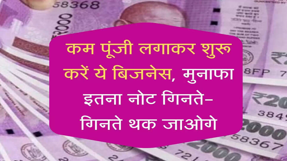 थोड़ी पूंजी लगाकर करें ये बिजनेस, मुनाफा इतना नोट गिनते-गिनते थक जाओगे