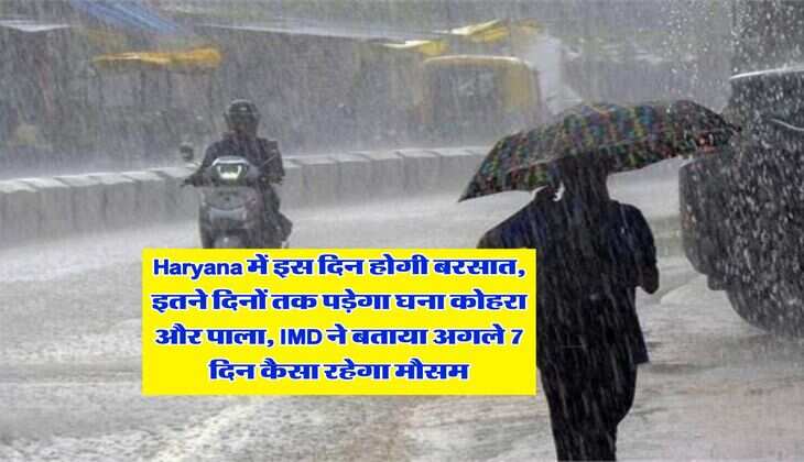 Haryana में इस दिन होगी बरसात, इतने दिनों तक पड़ेगा घना कोहरा और पाला, IMD ने बताया अगले 7 दिन कैसा रहेगा मौसम