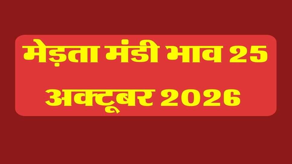 मेड़ता मंडी भाव 25 अक्टूबर 2026 : तारामीरा, असालिया और रायड़ा के भाव में बदलाव नहीं, जीरा, सौंफ, सुवा के रेट बदले